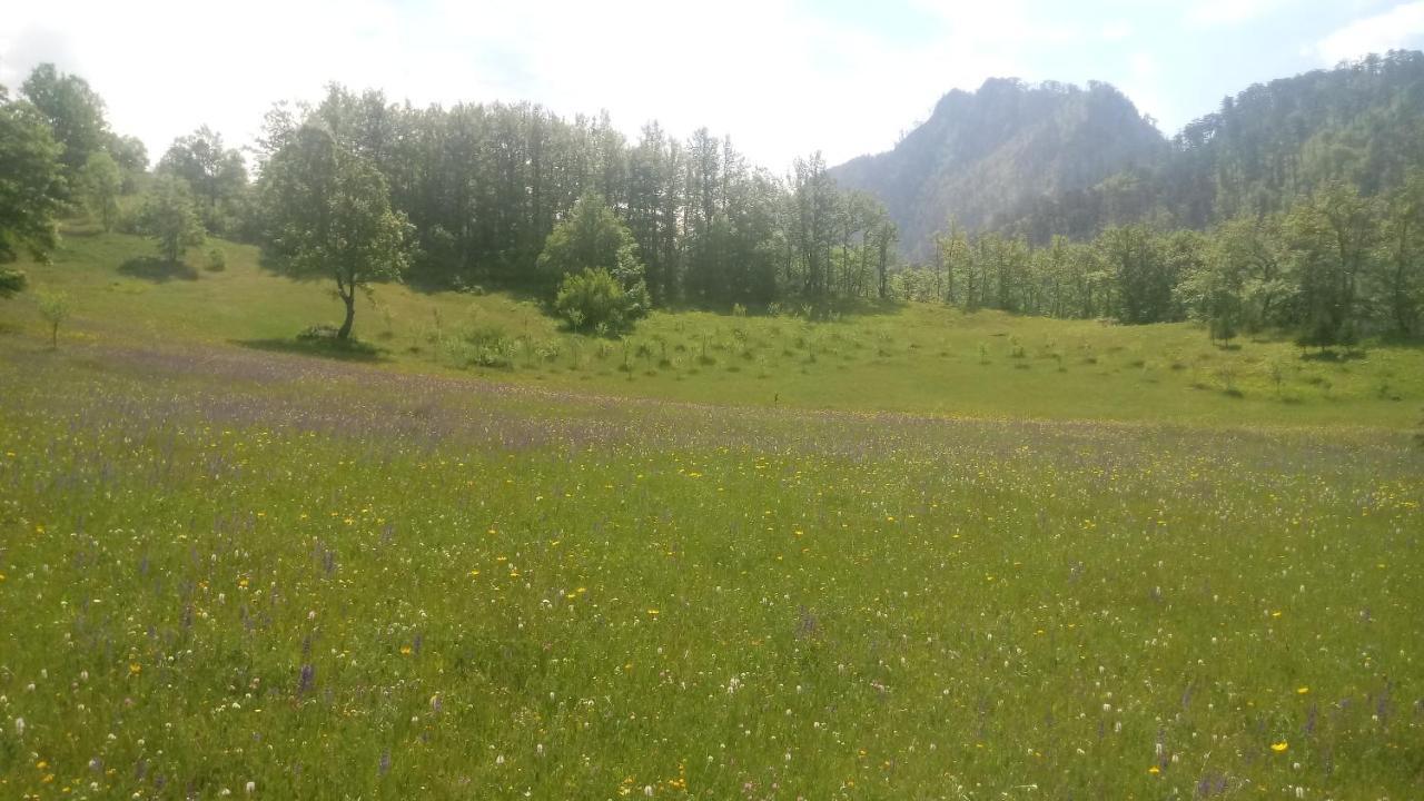 Villa Kamp Rafting Kljajevica Luka Pljevlja Exterior foto